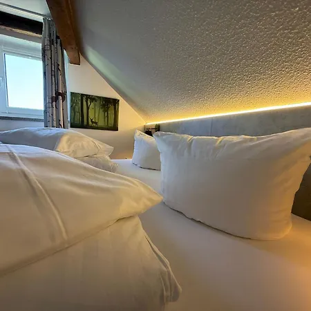 Miriquidi Inklusive Hotel Oberwiesenthal