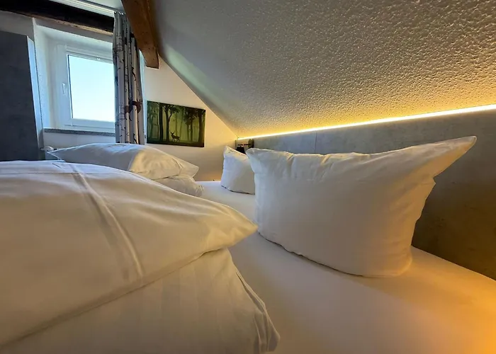 Miriquidi Inklusive Hotel Oberwiesenthal